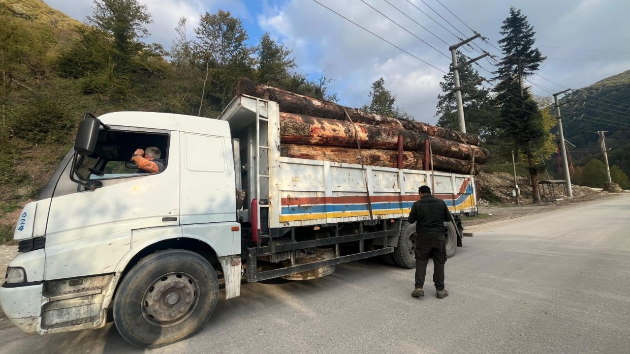 Kaçak odun dolu kamyonlar yakalandı